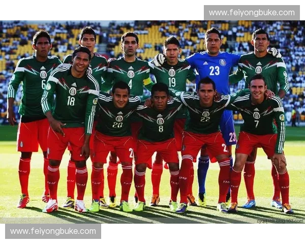 2014年巴西世界杯预选赛精彩回顾与各大洲球队晋级之路分析